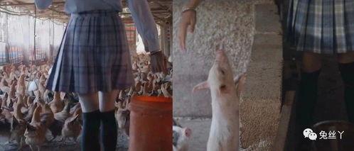 制服丝袜国产视频