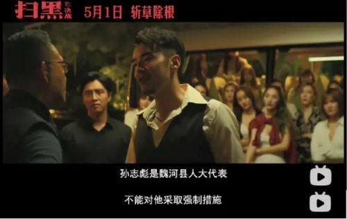 国产毛片电影,揭秘中国影视产业的独特魅力与争议